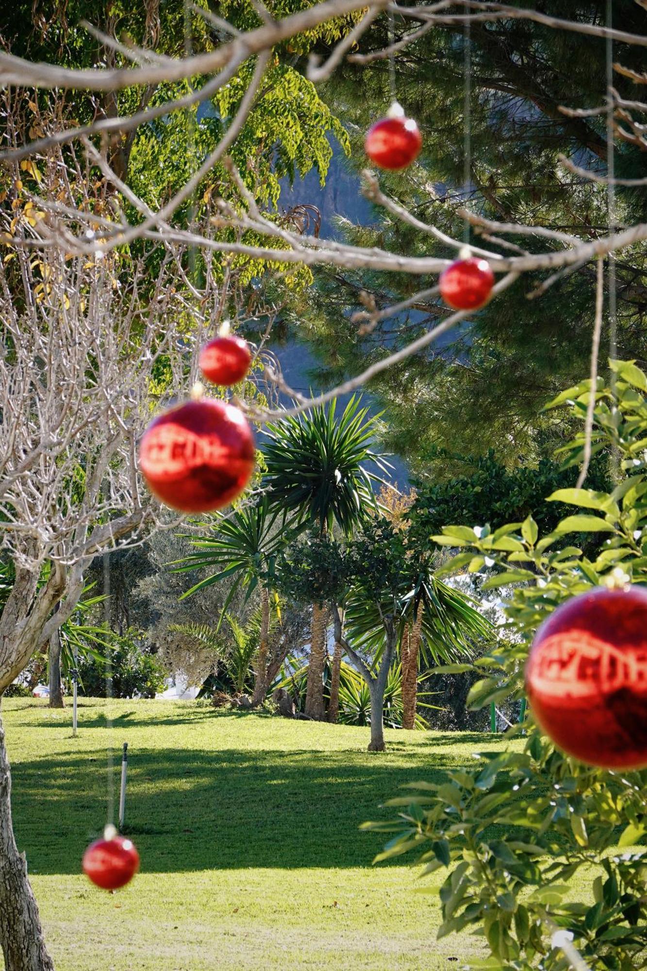 Hotel Taray Botanico Orgiva Bagian luar foto