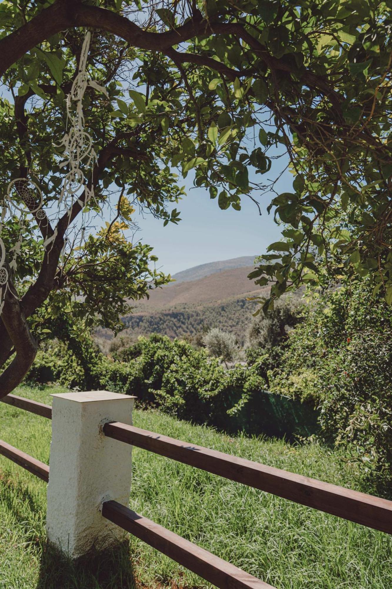 Hotel Taray Botanico Orgiva Bagian luar foto